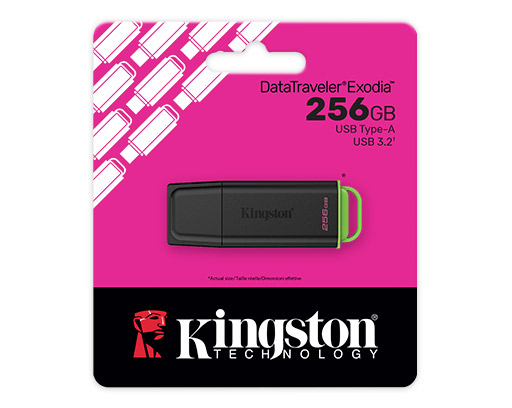 KINGSTON DTXG2-256g usb 3.2 DTXG2-256g