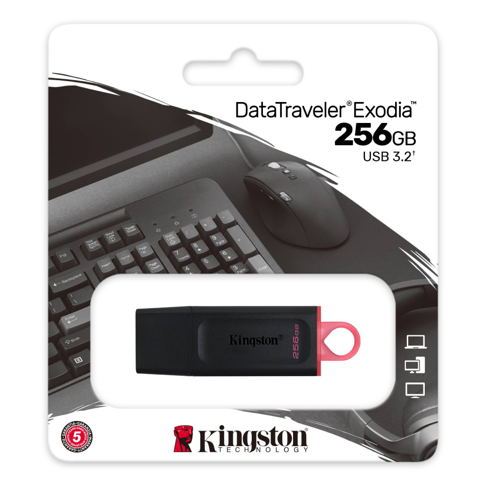 KINGSTON DTX-256g usb 3.2 DTX-256g