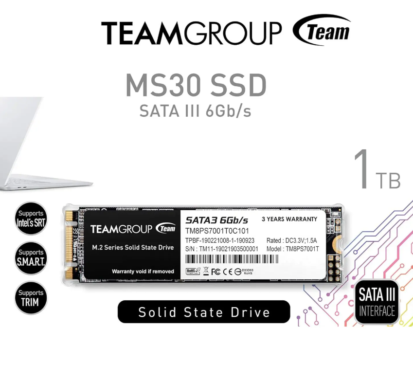 TEAMGROUP 1TB M.2 SATA III 6Gb/s SSD – High-Speed NGFF Solid State Drive with Intel SRT, TRIM, S.M.A.R.T., Power Saving Tech, 1.5M Hours MTBF  MS30